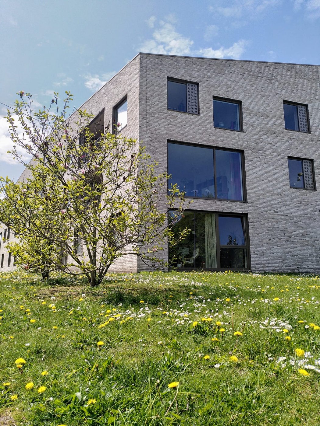 Woongebouw van Schots & Scheef achter een groene bloementuin onder een blauwe lucht